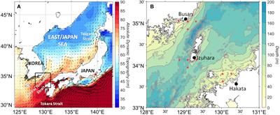 Non-linear long-term trend in volume transport through the Korea/Tsushima Strait